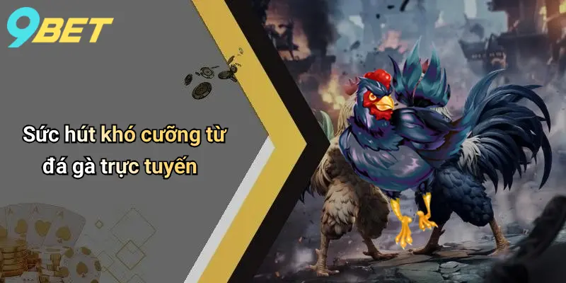 Đá Gà Trực Tuyến: Sân Cá Cược Đỉnh Cao Và Bí Quyết Thắng Lớn 1 Sức hút khó cưỡng từ đá gà trực tuyến